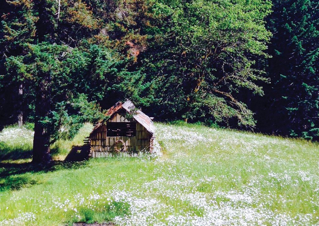 An old shed