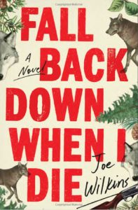 Fall Back Down When I Die: A Novel