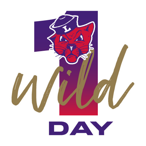 One Wild Day logo.