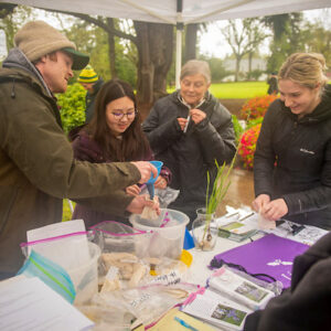 Four attendees learn about camas bulbs at a Camas Fest booth