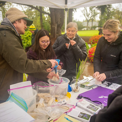 Four attendees learn about camas bulbs at a Camas Fest booth