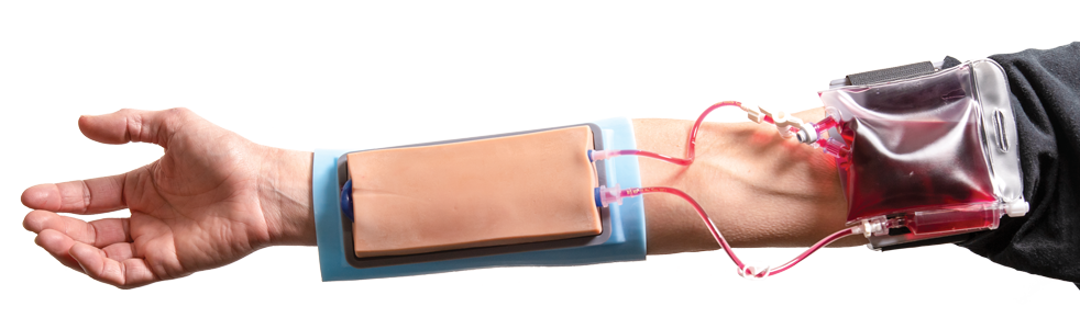 Maniken arm used by Linfield nursing students.