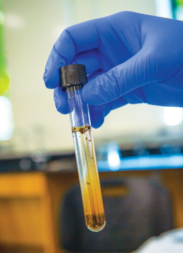 Student holding a test tube with a dirt sample in it.
