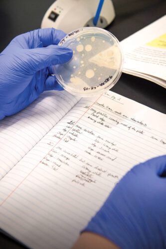 Student inspecting sample in a petrie dish, taking notes.