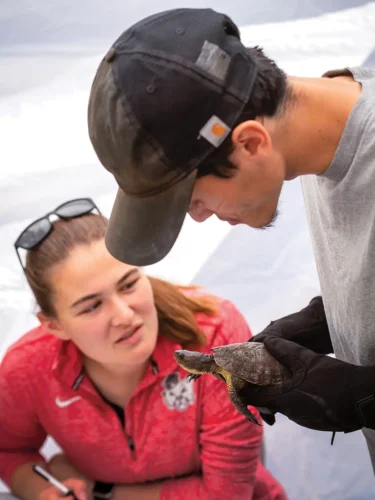 Two students examine a turtle while one writes down the measurements.