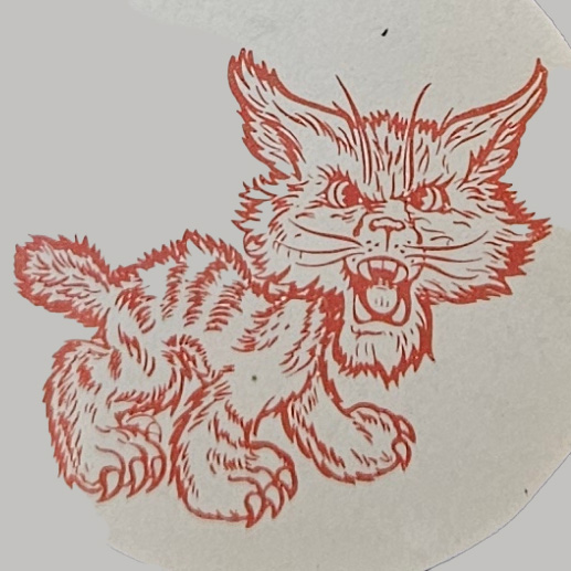 Angry, yelling Wildcat from old bookstore merchandise